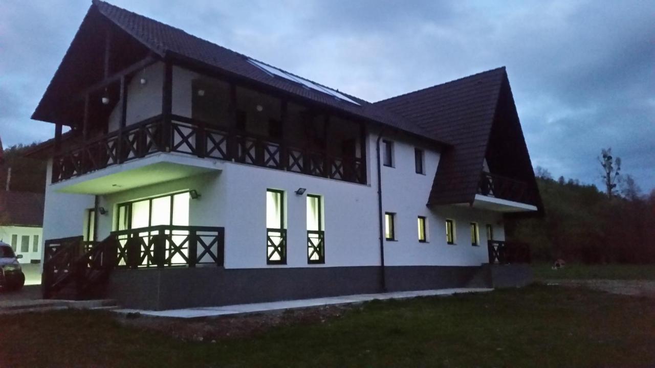 Pensiunea Steaua Nordului Vanatori  Exteriér fotografie