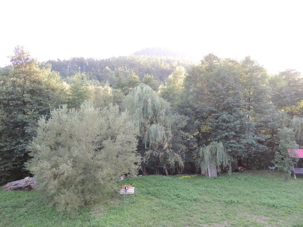 Pensiunea Steaua Nordului Vanatori  Exteriér fotografie