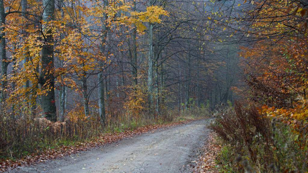 Pensiunea Steaua Nordului Vanatori  Exteriér fotografie
