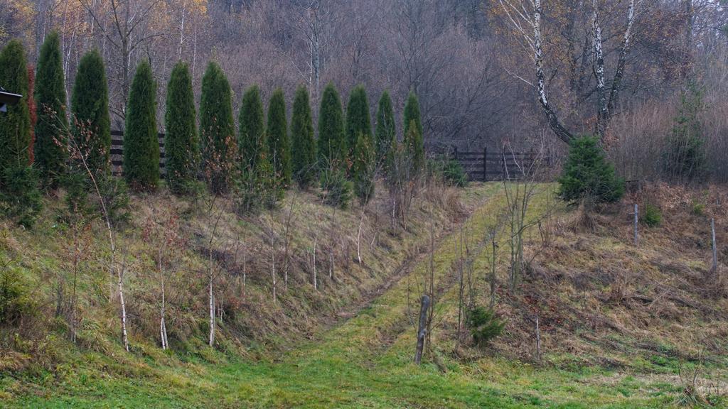 Pensiunea Steaua Nordului Vanatori  Exteriér fotografie