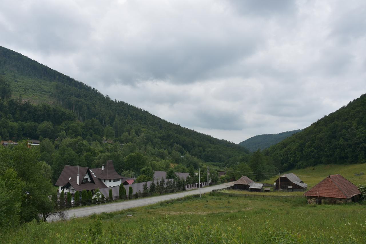 Pensiunea Steaua Nordului Vanatori  Exteriér fotografie